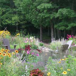 wildflowers_4